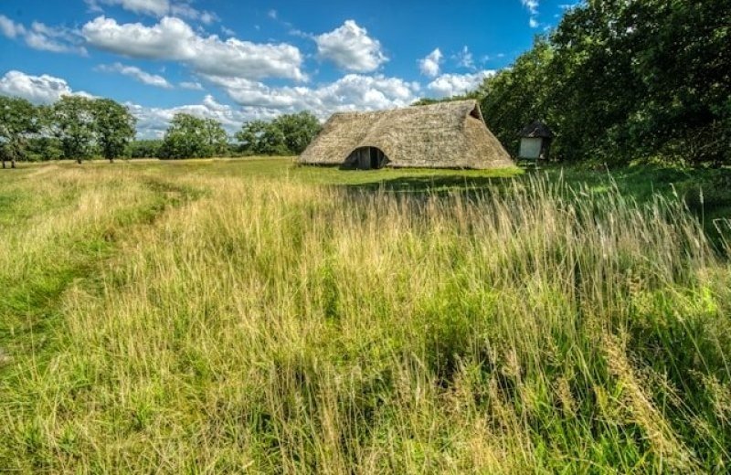 Drenthe natuur