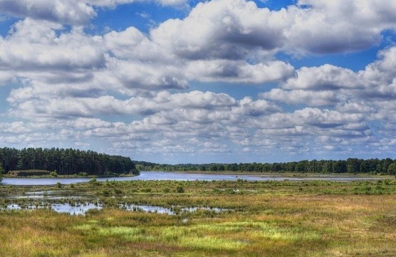 Drenthe natuurparken